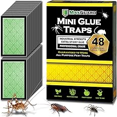 MaxGuard Mini Glue Traps (48 Traps) Non-Toxic Extra Sticky Glue Board Pre-Baited with Fruity Scent Attractant Trap & Kill Insects, Bugs, Spiders, Crickets, Scorpions, Cockroaches, Centipedes, Mice