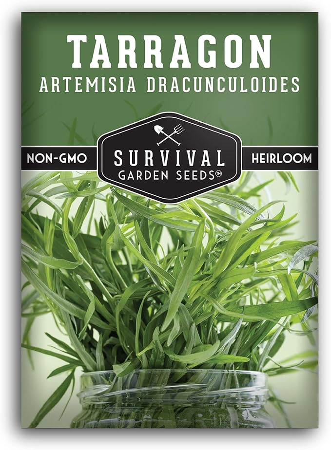 Russian Tarragon Seeds for Planting - Plant & Grow Big Flowering Herbs in Your Home Vegetable Garden - Non-GMO Heirloom Variety - Survival Garden Seeds (1 Pack)
