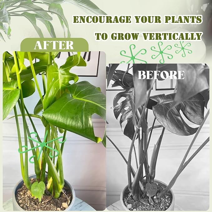 12Pcs Plant Stem Supports, Reusable Plastic Plant Accessories Indoor, Monstera Plant Support for Climbing Houseplants, Stakes Trellis Stem Hook Growth Tools for Neat Garden Arrangement(Green)