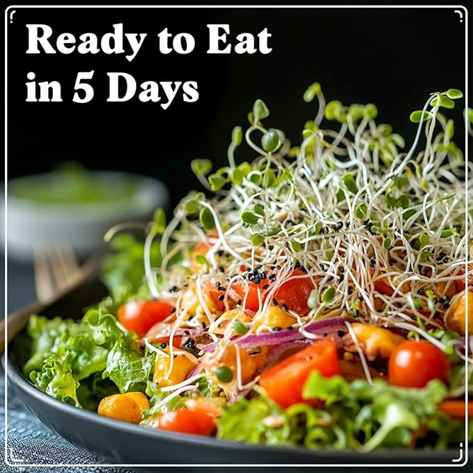 Seedboy Organic Non-GMO Sprouting Seeds, Superfood Blend - USA Grown Microgreens Mix with Broccoli, Radish, Pak Choi, Clover, Red Kale - 8 oz Makes 8 Quarts / 24 Servings (Superfood Blend)