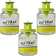 RESCUE! Outdoor Fly Trap - Reusable - 3 Traps