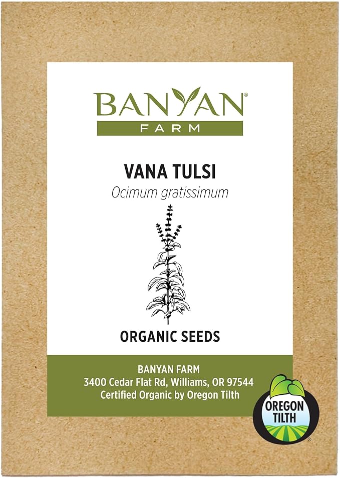 Banyan Botanicals Vana Tulsi Seed Packets – Ocimum Gratissimum – Organic Vana Tulsi Seeds for Cooking, Tea, and Herbal Preparations – 50 Count – Open Pollinated Non-GMO Easy to Grow