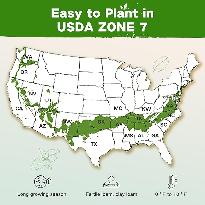 Lush&Dew Year-Round USDA Zone 7 Seed Bank, Gift for Mom Dad, 32 Varieties Non-GMO Heirloom Seeds of Vegetables Flowers, Gardening Gifts for Women Men, Survival Kit for Raised Garden Bed Greenhouse