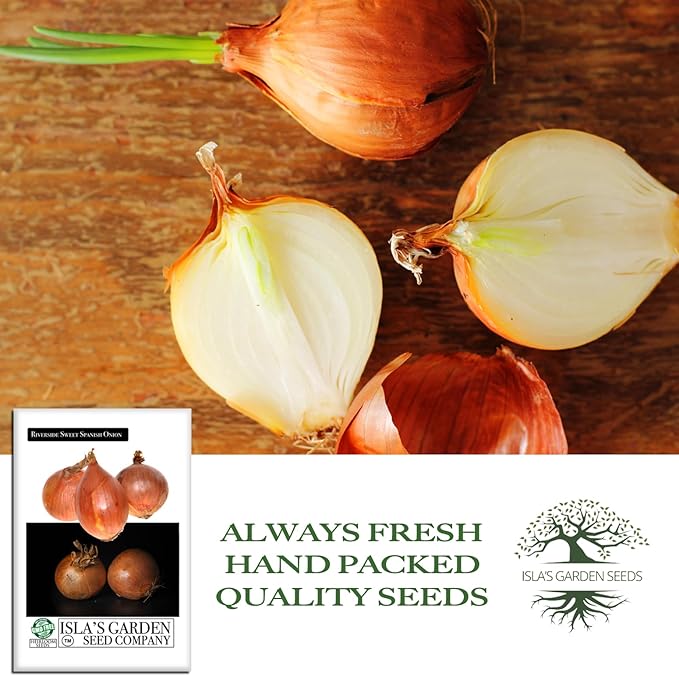 Riverside Sweet Spanish Onion Seeds (Allium cepa) – 300+ Heirloom Non-GMO Seeds by Isla’s Garden Seeds, Large Mild Long-Day Bulbs for Fresh Eating & Storage, High-Yield Garden Variety, Gift Idea