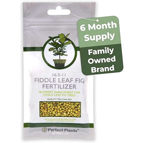 Fiddle Leaf Ficus Lyrata & Fig Tree Slow Release Fertilizer Pellets for Indoor and Outdoor Plants - Resealable Bag (6 oz)