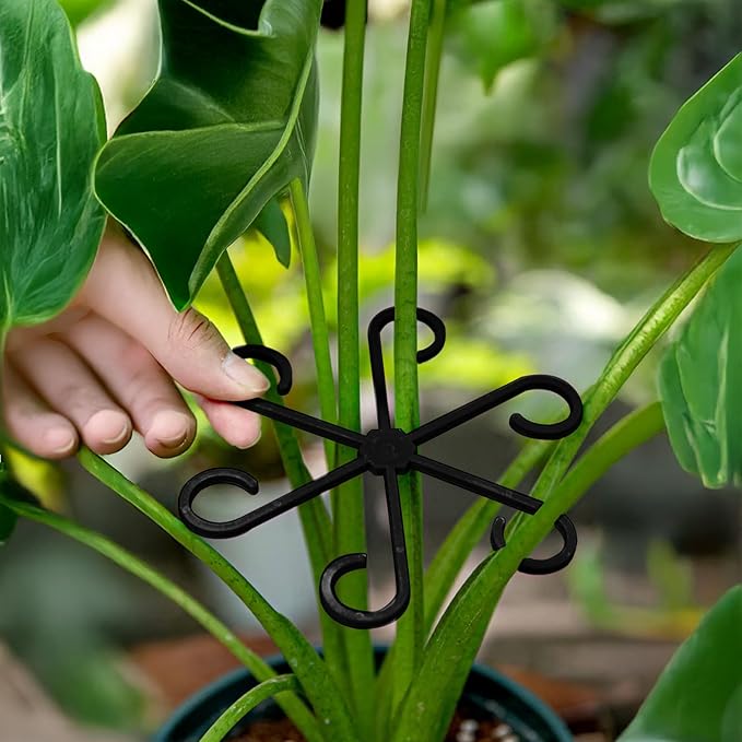 4Pcs Plant Stem Supports, Reusable Plastic Plant Accessories Indoor, Monstera Plant Support for Climbing Houseplants, Stakes Trellis Stem Hook Growth Tools for Neat Garden Arrangement(Black)