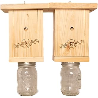 Best Bee Brothers, Bee-Licious Carpenter Bee Bait, All-Natural Pheromone Lure, 10 ml Squeeze Tube, 2-Pack