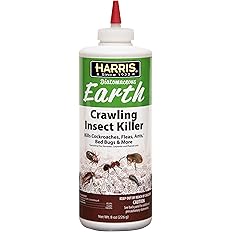 Carpet Beetle Traps – 20 Pack | Sticky Indoor Glue Boards for Carpet Beetles, Larvae & Other Crawling Insects | Non-Toxic Pest Control Trap & Monitor for Closets, Storage Areas, and More