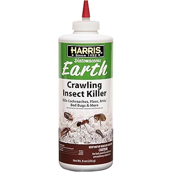 Carpet Beetle Traps – 20 Pack | Sticky Indoor Glue Boards for Carpet Beetles, Larvae & Other Crawling Insects | Non-Toxic Pest Control Trap & Monitor for Closets, Storage Areas, and More