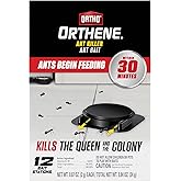 TERRO Ant Killer Bait Stations T300B - Liquid Bait to Eliminate Ants - Bait System - 12 Count Stations for Effective Indoor Ant Control