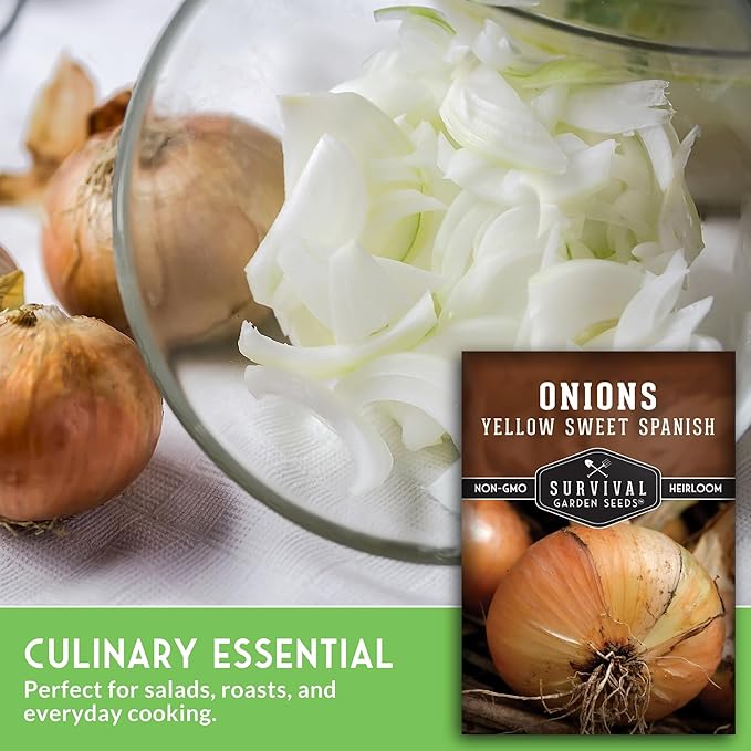Yellow Sweet Spanish Onion Seeds for Planting – Large Mild Long Day Yellow Onions with High Yield & Sweet Flavor – Heirloom, Non-GMO, Open-Pollinated – Survival Garden Seeds (3 Packs)