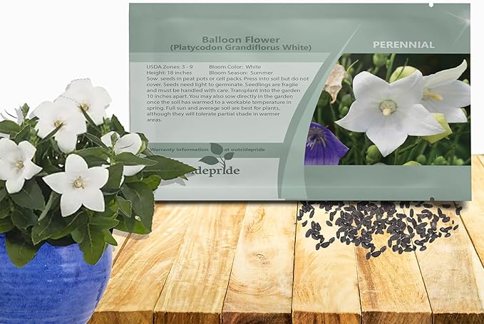 Outsidepride White Balloon Flower Seeds for Planting – 1000 Pcs Perennial, Drought-Tolerant, Easy to Grow, Low Maintenance, Pollinator-Friendly, Star-Shaped Blooms for Outdoor Gardens and Borders