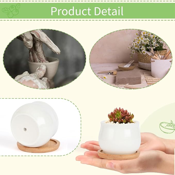 2 Pack Succulent Pots, 2.5 Inch Mini Ceramic Pots for Flower or Cactus Plants with Drainage Hole,Plants Not Included (White)
