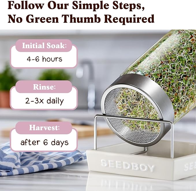 Seedboy Organic Non-GMO Clover Seeds for Sprouting - USA Grown Microgreens Sprouting Seeds - 8 oz Bag Makes 8 Quarts / 24 Servings (Red Clover)