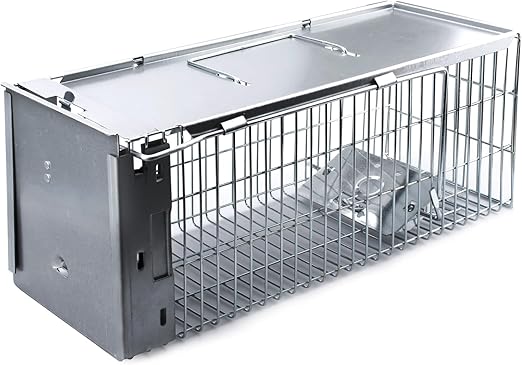 Faicuk Heavy Duty Squirrel Trap Chipmunk Trap Rat Trap and Other Similar-Size Rodents - 16.3” x 6” x 6.7”