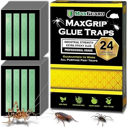 MaxGuard MaxGrip Glue Traps (24 Traps) Non-Toxic Extra Sticky Glue Board Pre-Baited with Fruity Scent Attractant Trap & Kill Insects, Bugs, Spiders, Crickets, Scorpions, Cockroaches, Centipedes, Mice