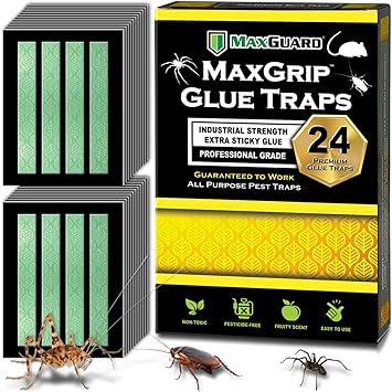 MaxGuard MaxGrip Glue Traps (24 Traps) Non-Toxic Extra Sticky Glue Board Pre-Baited with Fruity Scent Attractant Trap & Kill Insects, Bugs, Spiders, Crickets, Scorpions, Cockroaches, Centipedes, Mice