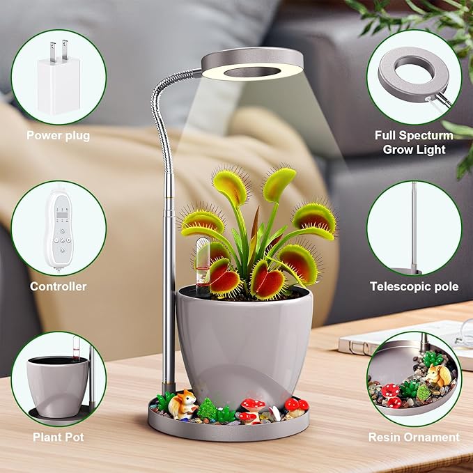 Venus Fly Trap Terrarium,Butterwort Plant Live Pot,Not Live Plant, Automatic Irrigation System Keeps Potted Soil Moist Makes a Great Gift Choice, Home Office Decor
