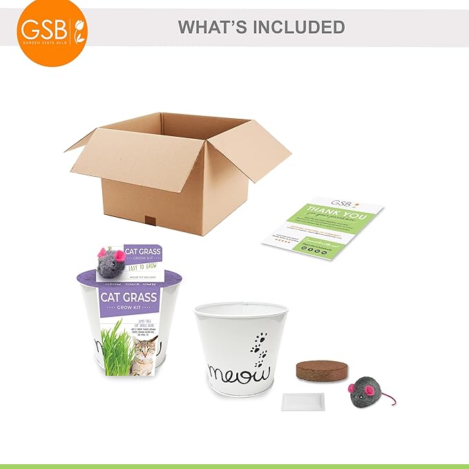 Garden State Bulb Cat Grass for Indoor Cats - Growing Kit - Organic Cat Grass Seeds, Soil with Mouse Toy and Meow Container (Non GMO) - Locally Sourced Seeds! (2 Pack)