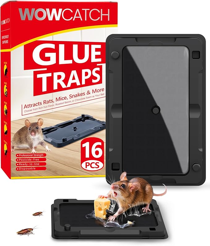 Sticky Mouse Traps Indoor for Home - 16 Pack Pre-baited Glue Traps for Roaches, Spider, Lizard, Bulk Sticky Rodent Catcher for Kitchen, Garage, Pet Safe Pest Control, Non-Toxic, Small Size