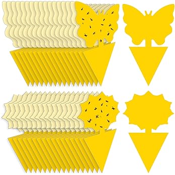 Catchmaster Window Fly Traps 12-Pack, Fruit Fly Traps for Indoors, Disposable Bulk Bug Catcher, Waterproof Insect Glue Trap, Adhesive Strips, Pest Control for Home, Kitchen, & Garage