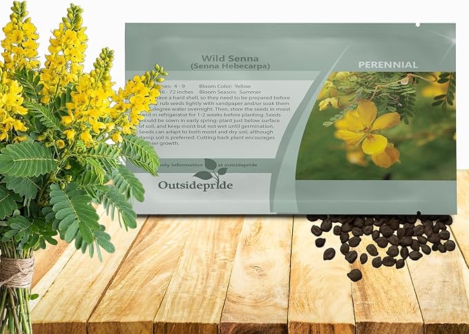 Outsidepride Wild Senna Seeds - 200 Pcs. Perennial, Low Maintenance & Pollinator Friendly, Herb Seeds for Planting Tall, Vibrant Yellow Blooms for Garden Beds, Borders & Wildflower Meadows