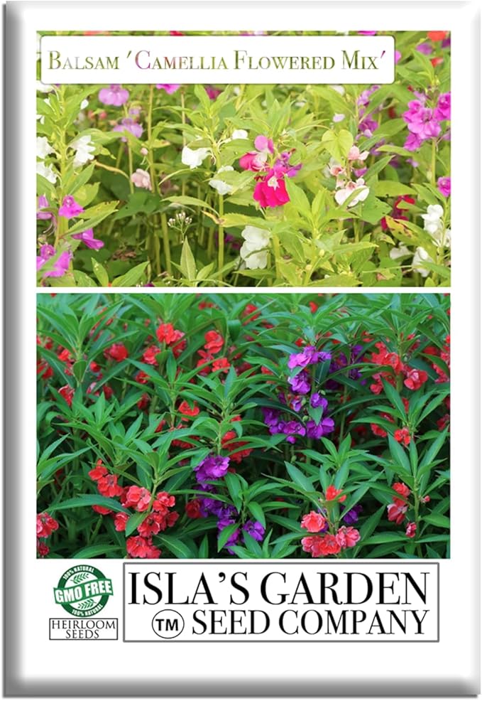 'Camellia Flowered Mix' Balsam Flower Seeds for Planting, 100+ Seeds Per Packet, (Isla's Garden Seeds), Non GMO & Heirloom Seeds, Scientific Name: Impatiens balsamina, Great Home Garden Gift