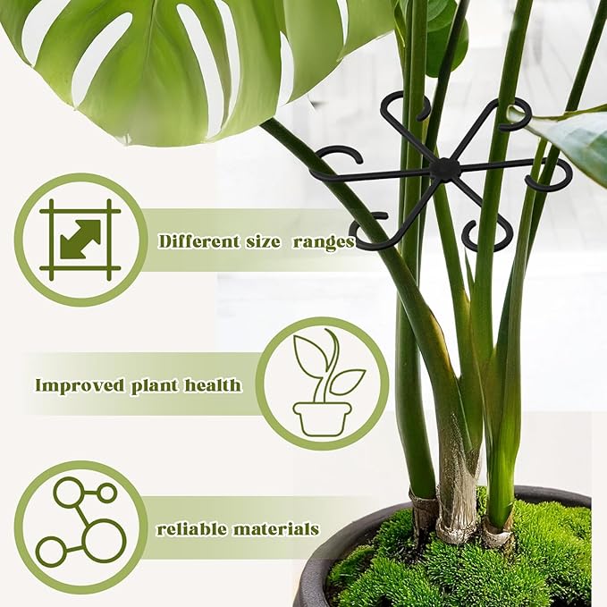 4Pcs Plant Stem Supports, Reusable Plastic Plant Accessories Indoor, Monstera Plant Support for Climbing Houseplants, Stakes Trellis Stem Hook Growth Tools for Neat Garden Arrangement(Black)