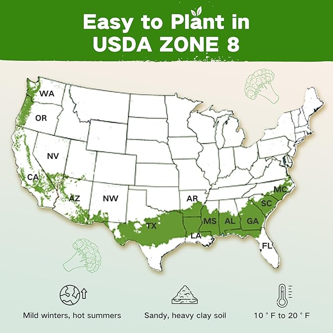 USDA Zone 8 Heirloom Seed Bank, 30,000+ Non-GMO 32 Varieties of Seeds for Planting Vegetables Herbs, Survival Seed Kit for Raised Garden Bed Greenhouse, Gardening Gifts for Mom Women Men