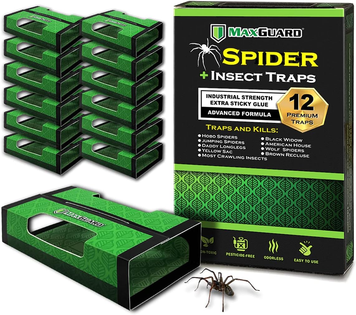 MaxGuard Spider + Insect Traps (12 pcs Box Trap) | Non-Toxic Extra Sticky Glue Traps, Kill Black Widow Hobo Brown Recluse Spiders and Other Crawling Bugs & Insects |