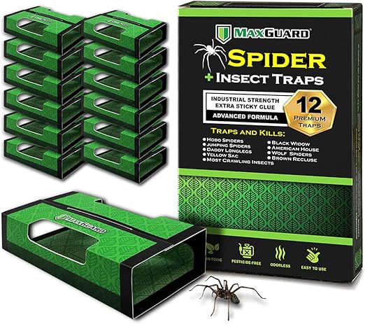 MaxGuard Spider + Insect Traps (12 pcs Box Trap) | Non-Toxic Extra Sticky Glue Traps, Kill Black Widow Hobo Brown Recluse Spiders and Other Crawling Bugs & Insects |