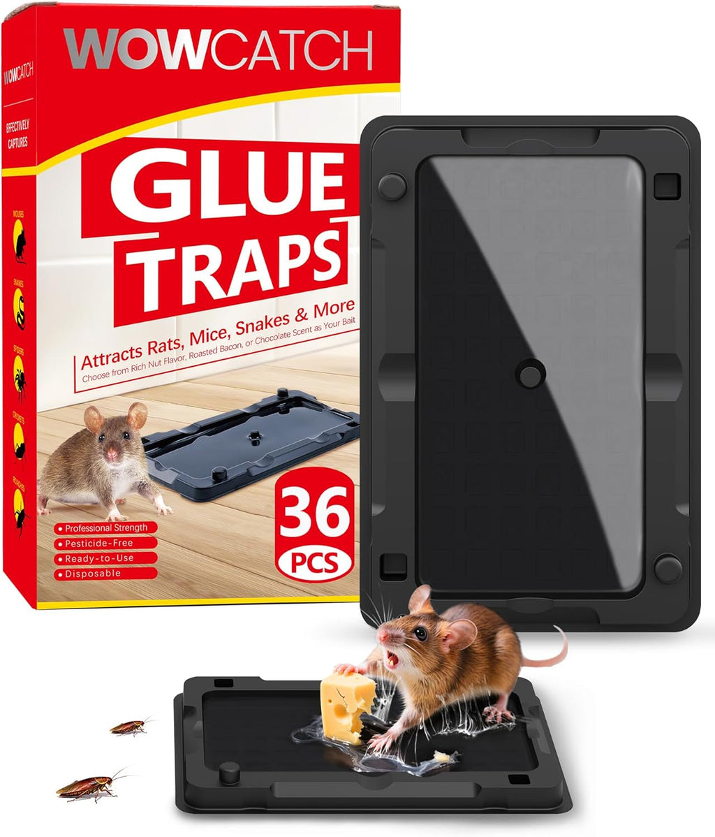 Rat, Snake and Mouse Traps 12 PK, Large Bulk Sticky Glue Traps Indoor for Home Pre-baited, Pet Safe Rodent Catcher for Garage, Kitchen, Catches Roaches, Spiders, Lizard, Non-Toxic, Large