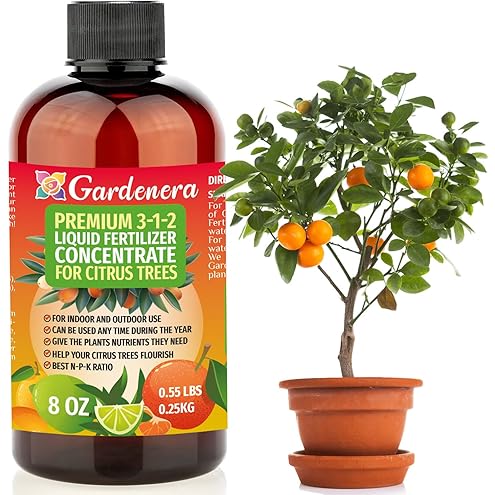 Professional Nursery Grade Croton Fertilizer 4 LB Six Month Slow Release Plant Food for Codiaeum variegatum