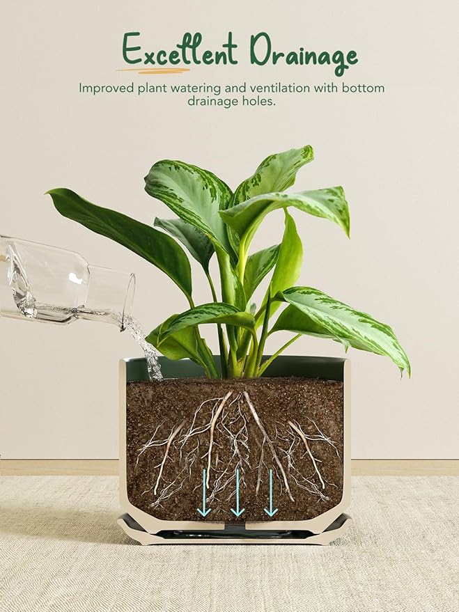 LE TAUCI Ceramic Pots for Plants, Set of 2, 10 + 12 Inch Plant Pot with Drainage Hole and Saucer, Durable & Stylish Planters for Indoor Plants, Elevate Your Home’s Aesthetic, Forest Green