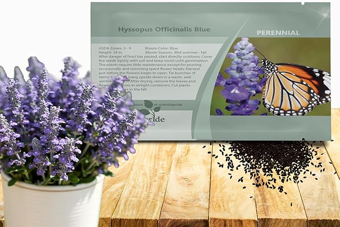 Outsidepride Blue Hyssop Seeds for Planting - 2000 Pcs Perennial Herb Garden Seeds with Fragrant Blooms Attractive to Pollinators, for Small Gardens, Containers, & Xeriscaping