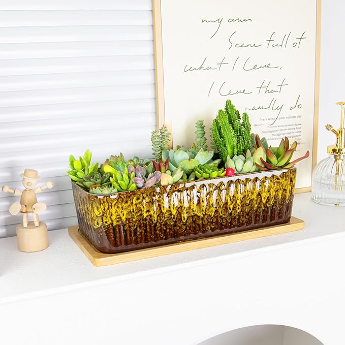 Succulent Pots - 12 Inch Large Succulent Planters with Drainage Tray, Window Sill Planter, Long Rectangle Ceramic Pots for Indoor Cactus Plants Shallow Bonsai Window Box for Home Garden Decor