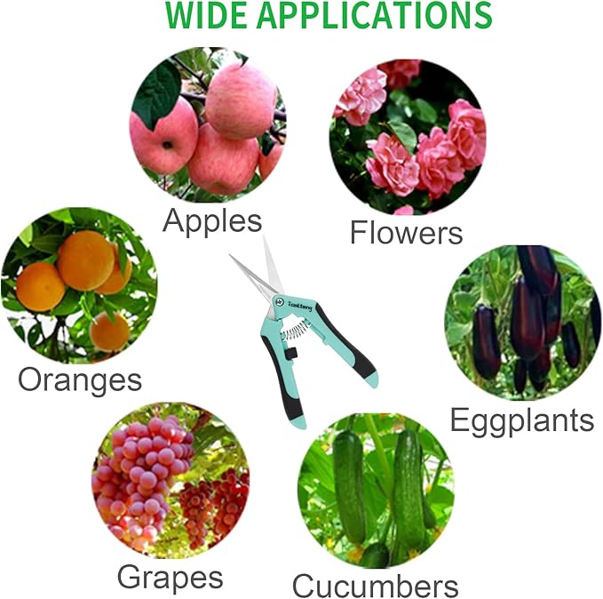 6 Packs Pruning Shears, Garden Trimming Scissors, Gardening Hand Pruning Snips, Titanium Coated Precision Bonsai Pruning Shears, Convenient and Efficient Flower Cutters (Blue)