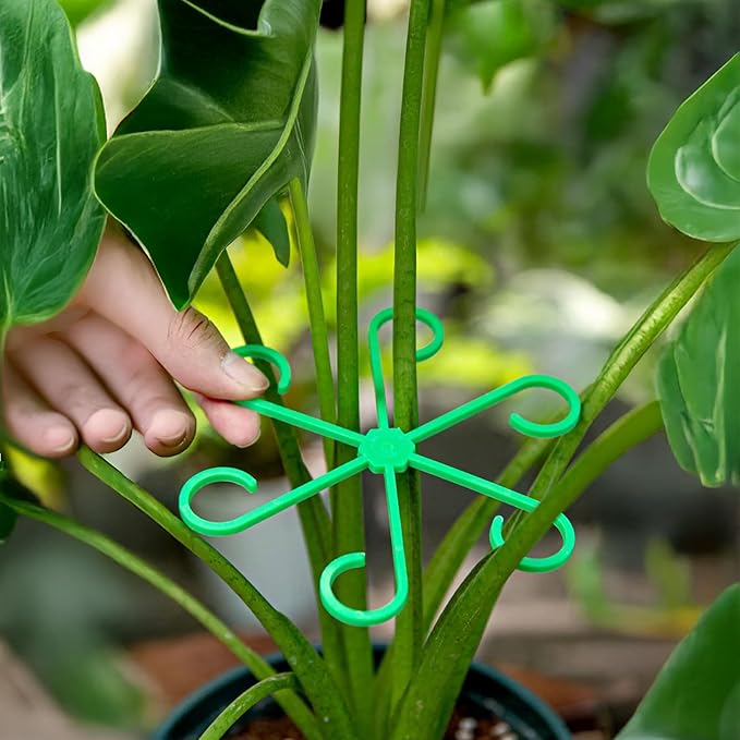 12Pcs Plant Stem Supports, Reusable Plastic Plant Accessories Indoor, Monstera Plant Support for Climbing Houseplants, Stakes Trellis Stem Hook Growth Tools for Neat Garden Arrangement(Green)