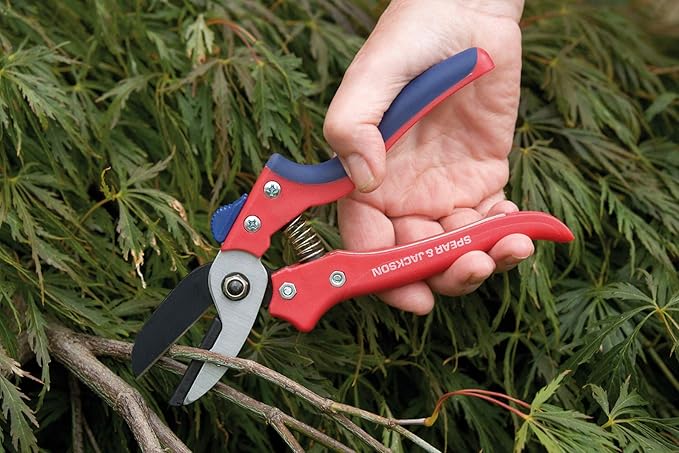 Spear & Jackson 7158AS Razorsharp Advantage Anvil Pruning Shears, Pruner, Multicoloured