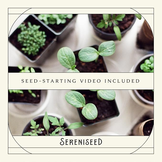 Sereniseed Certified Organic Herb Seeds (20-Pack) – Non GMO, Heirloom – Seed Starting Video