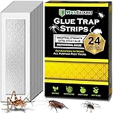 MaxGuard MaxGrip Glue Traps (24 Traps) Non-Toxic Extra Sticky Glue Board Pre-Baited with Fruity Scent Attractant Trap & Kill Insects, Bugs, Spiders, Crickets, Scorpions, Cockroaches, Centipedes, Mice