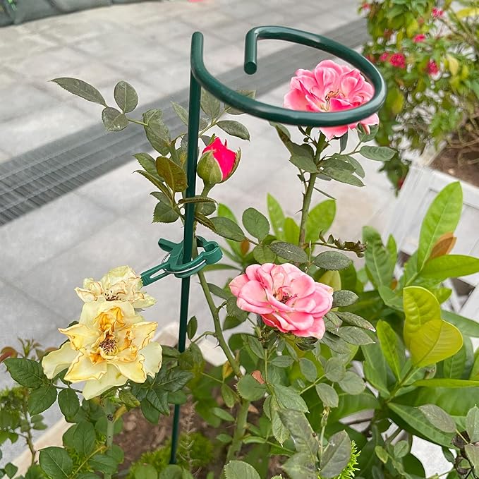 10 Pack Plant Support Stakes, 24 Inch Tall Garden Plant Stakes and Supports, Plant Sticks for Indoor Outdoor Single Stem Flower Peony, Orchid, Lily, Amaryllis, Rose, Tomato Pepper Plants Supports
