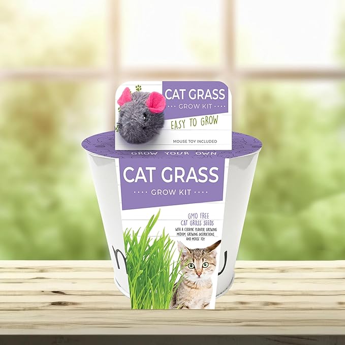Garden State Bulb Cat Grass for Indoor Cats - Growing Kit - Organic Cat Grass Seeds, Soil with Mouse Toy and Meow Container (Non GMO) - Locally Sourced Seeds! (2 Pack)