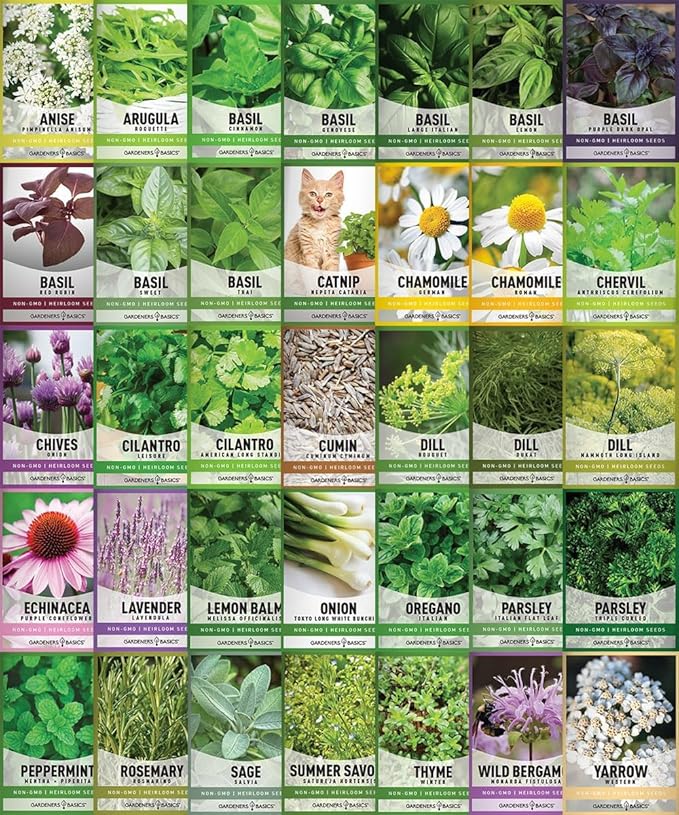 35 Medicinal & Culinary Herb Seeds Variety Pack - Heirloom Non-GMO Garden Kit for Indoor, Outdoor & Greenhouse Growing - Apothecary, Tea & Cooking Herbs - Gift for Gardeners