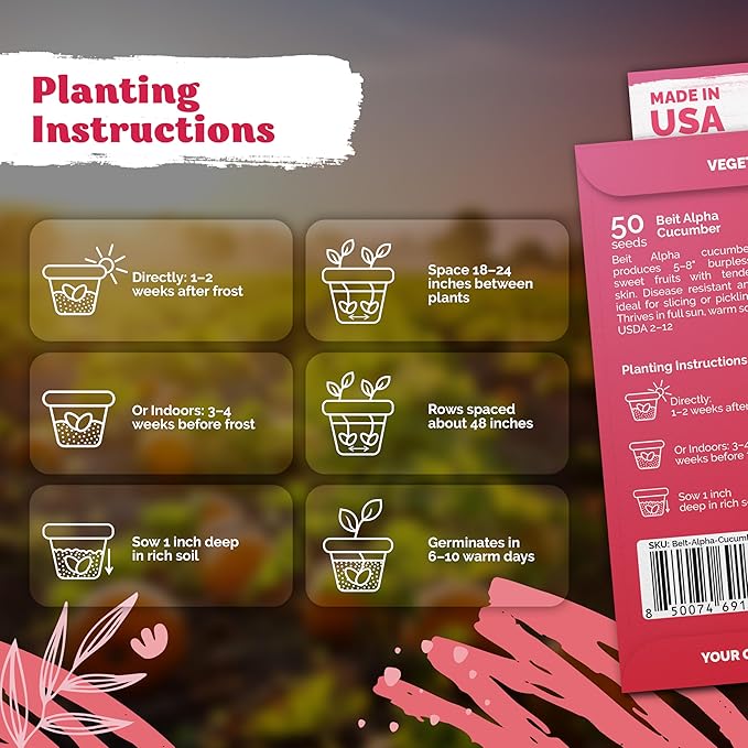 KVITER 50 Beit Alpha Cucumber Seeds for Planting (Cucumis sativus) – Persian Cucumbers, Parthenocarpic Cucumber Organic – Non GMO, Heirloom Vegetable Seeds for Home Garden, Containers & Greenhouses