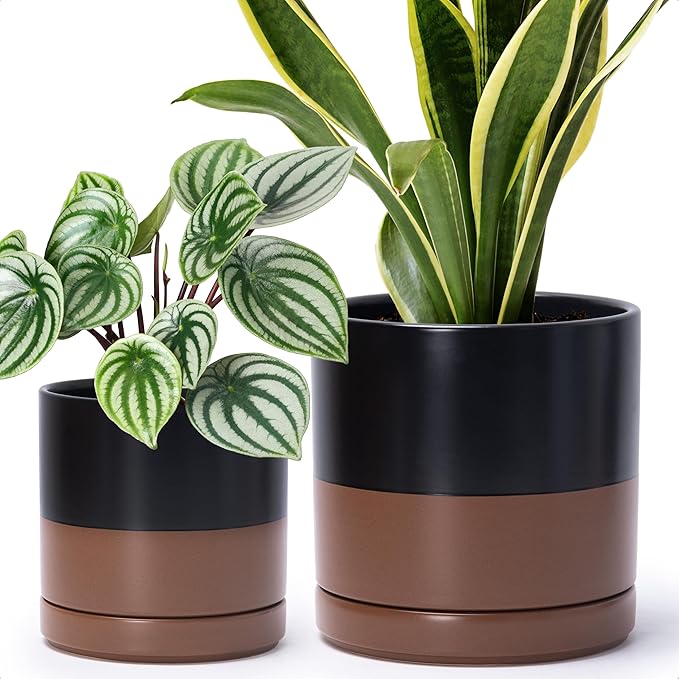 D'vine Dev 6.5 Inch & 8.2 Inch Ceramic Planter Pots for Plants with Drainage Hole and Saucer, Medium Plant Pots Set, Black/Speckled Tan, 94-G-M-7
