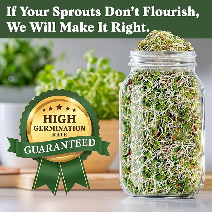 Seedboy Organic Non-GMO Clover Seeds for Sprouting - USA Grown Microgreens Sprouting Seeds - 8 oz Bag Makes 8 Quarts / 24 Servings (Red Clover)