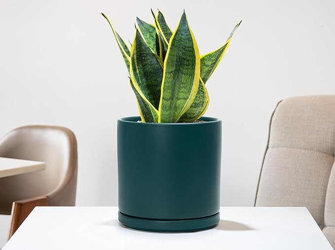 D'vine Dev 6 Inch & 8 Inch Ceramic Planter Pots for Plants with Drainage Hole and Saucer, Medium Plant Pots Set, Teal, 94-G-M-9