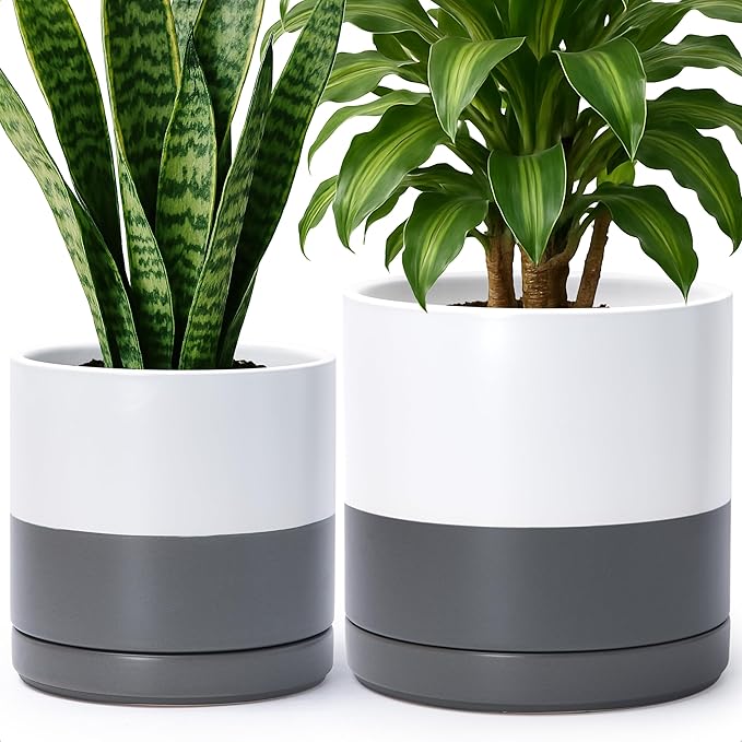 D'vine Dev 8.2 Inch & 10 Inch Ceramic Planter Pot for Plants with Drainage Hole and Saucer, Large Plant Pots Set, White/Speckled Grey, 94-G-L-6