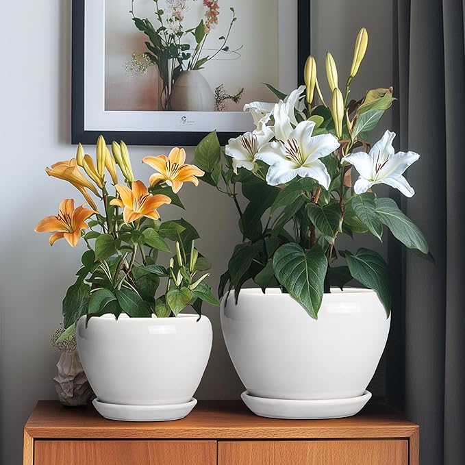 10+8+6 Inch Ceramic Planter, Ceramic Pots for Plants Indoor Outdoor, Round Plant Pots with Drainage Holes and Saucers, Modern Planter, Home Decor, Gardening Gifts for Women, Set of 3, White